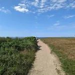 5 Person In Tarm